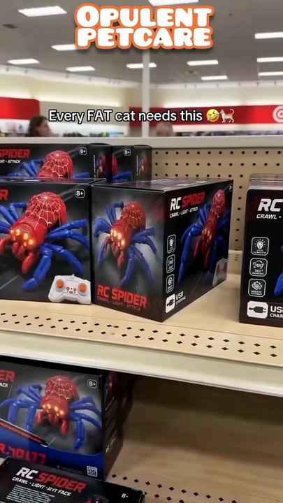 Wall-Climbing Spider Cat Toy – Remote Control RC Spider for Cats | Interactive Wall Climber Pet Toy