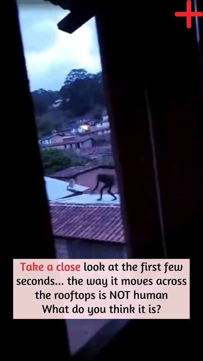 Take a close look at the first few seconds... the way it moves across the rooftops is NOT human