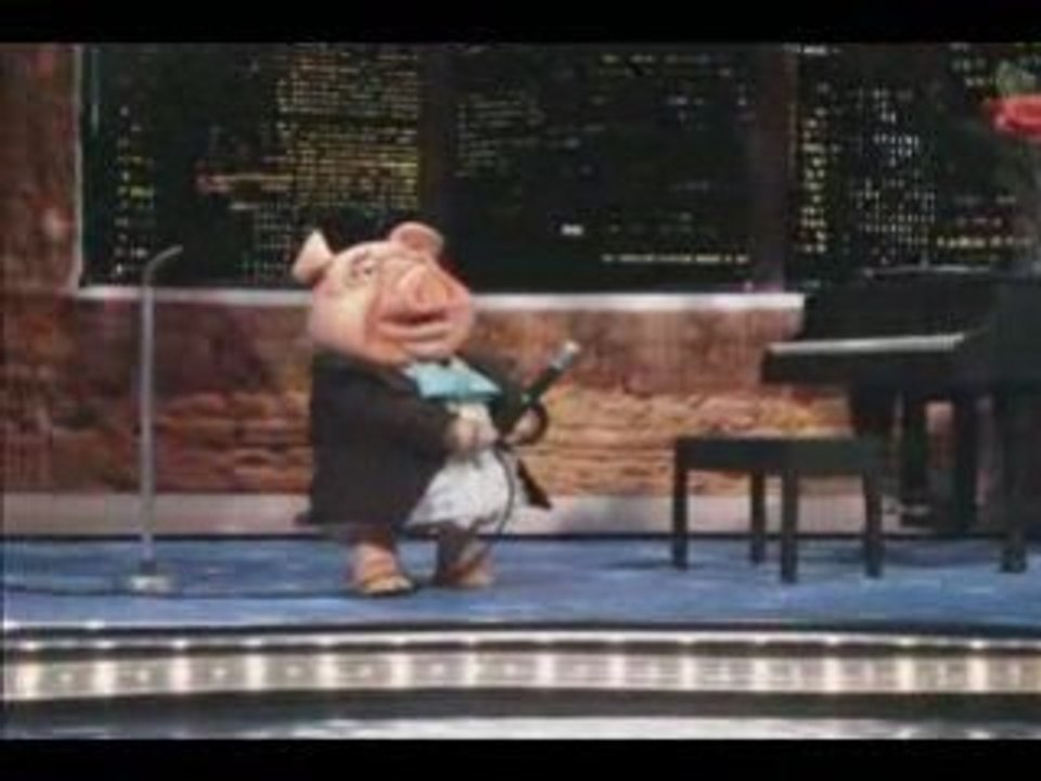 "Life's a Zoo" Titties Song