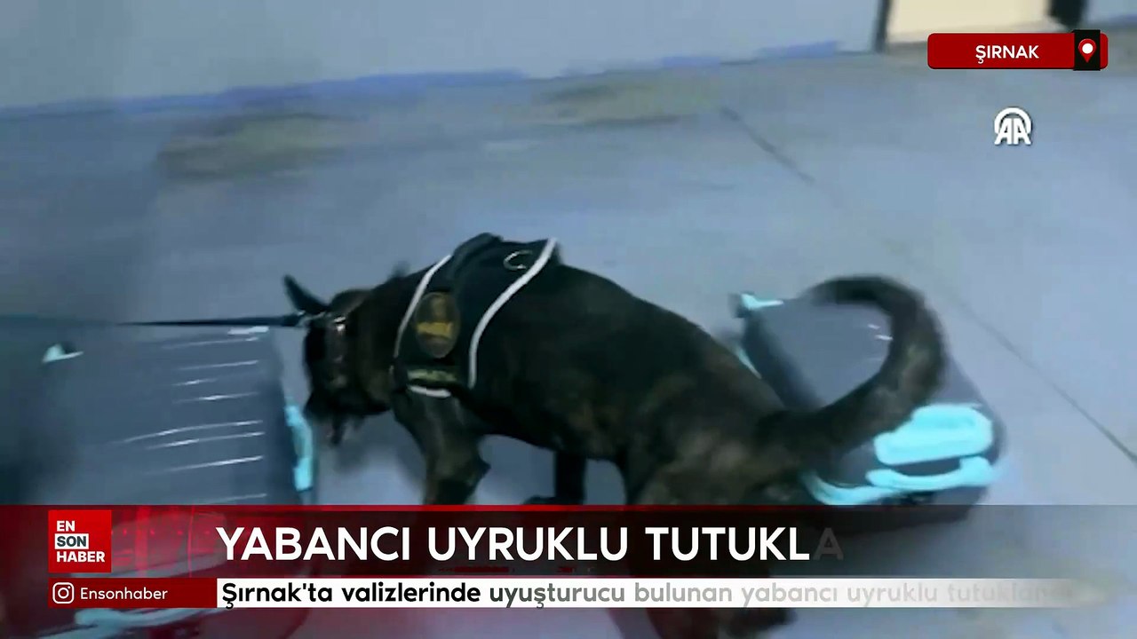 Şırnak'ta valizlerinde uyuşturucu bulunan yabancı uyruklu tutuklandı