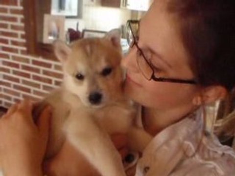 Photo du nouvel appareil photo 405