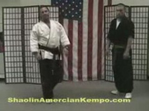 Shaolin Kempo Karate Combination DM 8 Fighting strategie - JIm Brassard