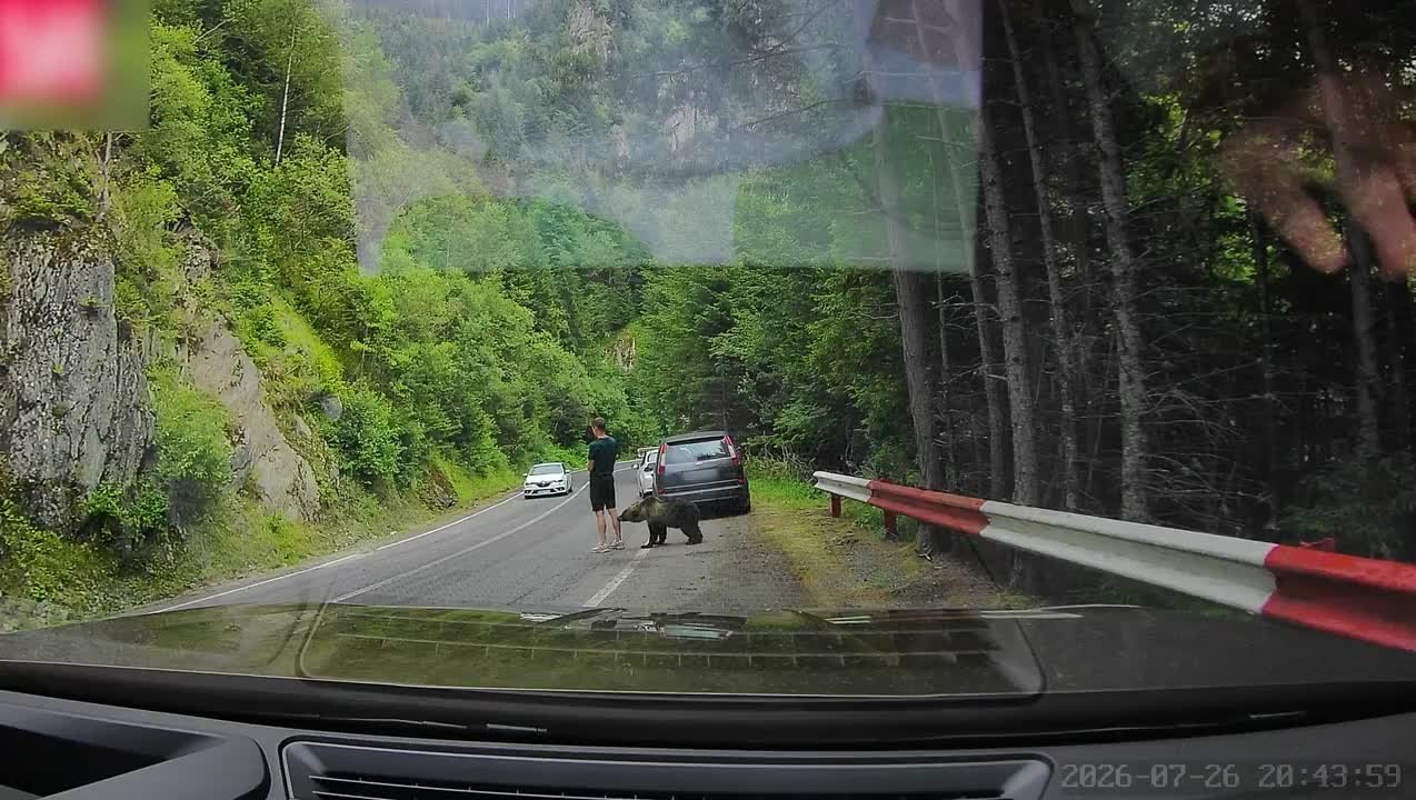 Bear Sneaks Up On Man Beside Road
