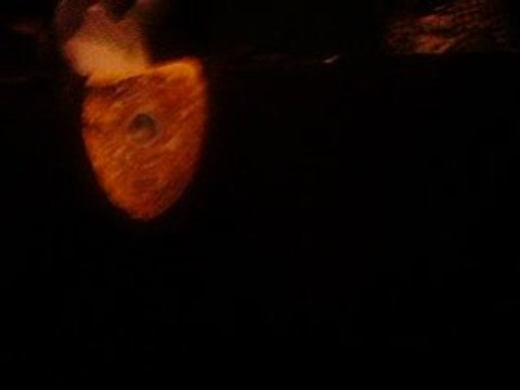 dj mehdi au solidays