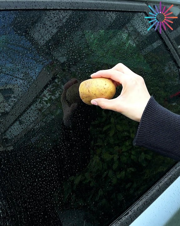 Say goodbye to foggy glass with this 🥔🙌