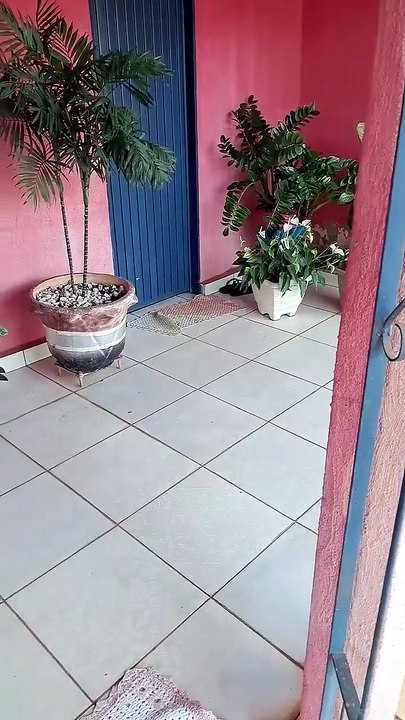 16 de julho de 2026