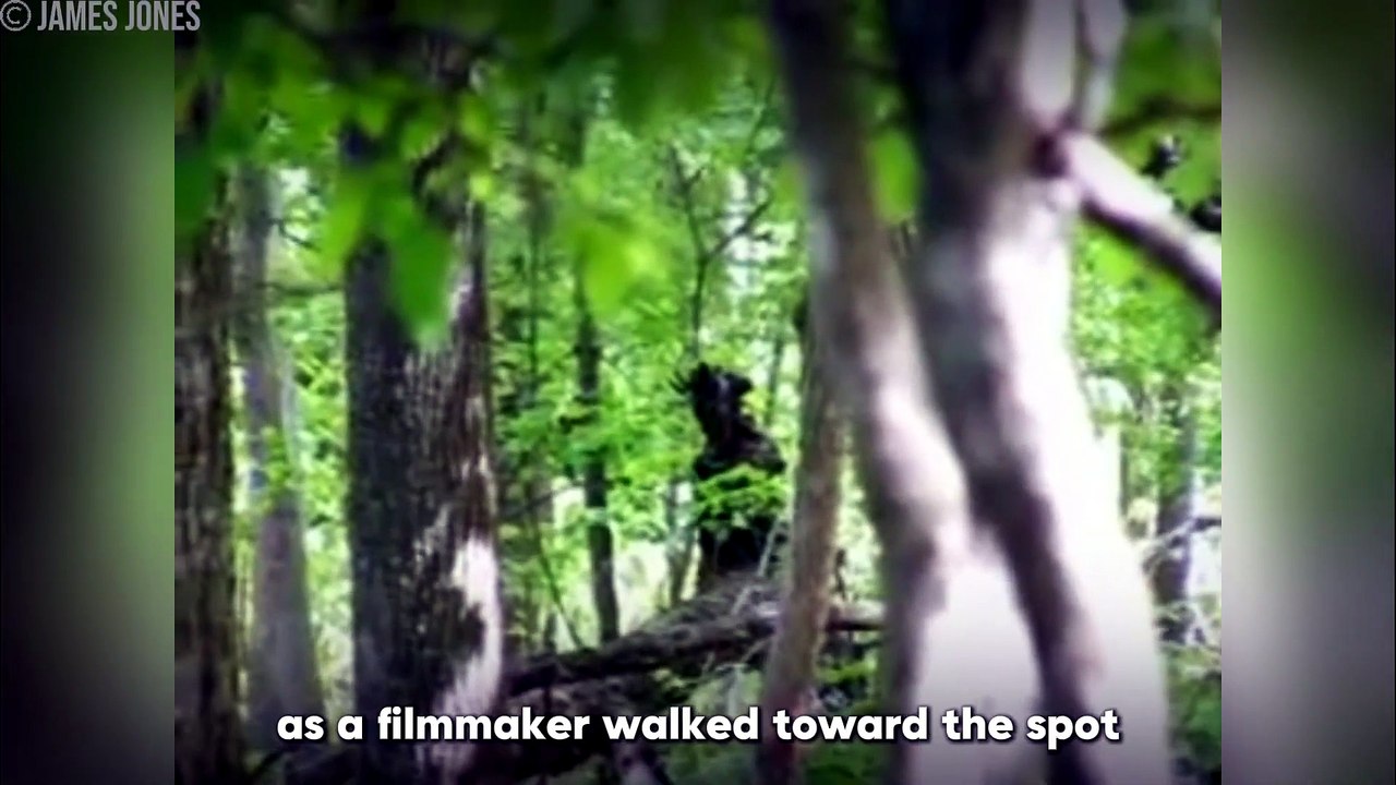 30 Creepiest Camping Encounters Caught on Camera
