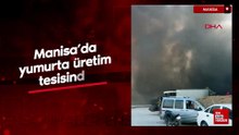 Manisa’da yumurta üretim tesisinde yangın