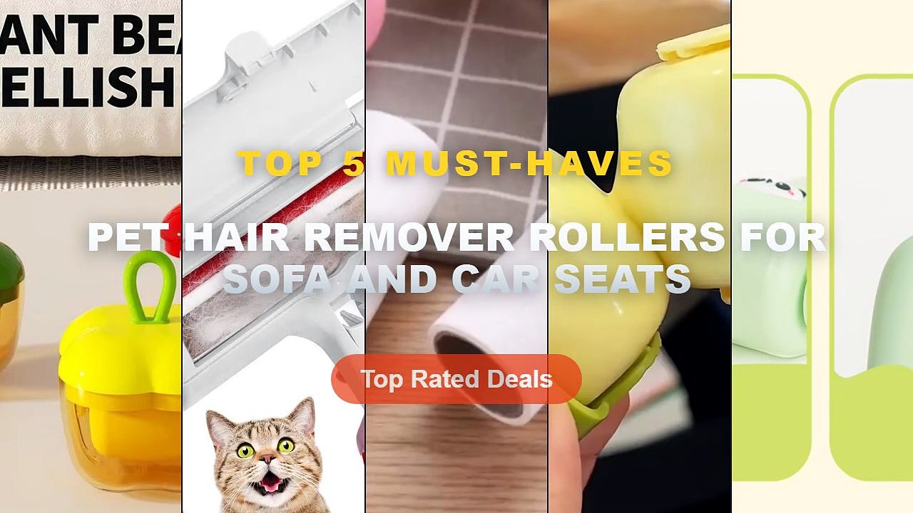 Top 5 Best Pet Hair Remover Rollers For Sofa And Car Seats (Must Have!)