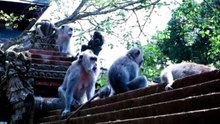 BEST PLACES TO VISIT IN BALI, INDONESIA