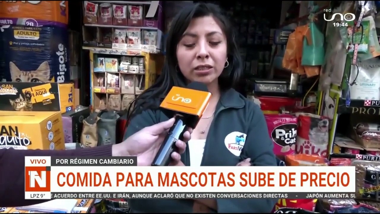 Comida de perritos