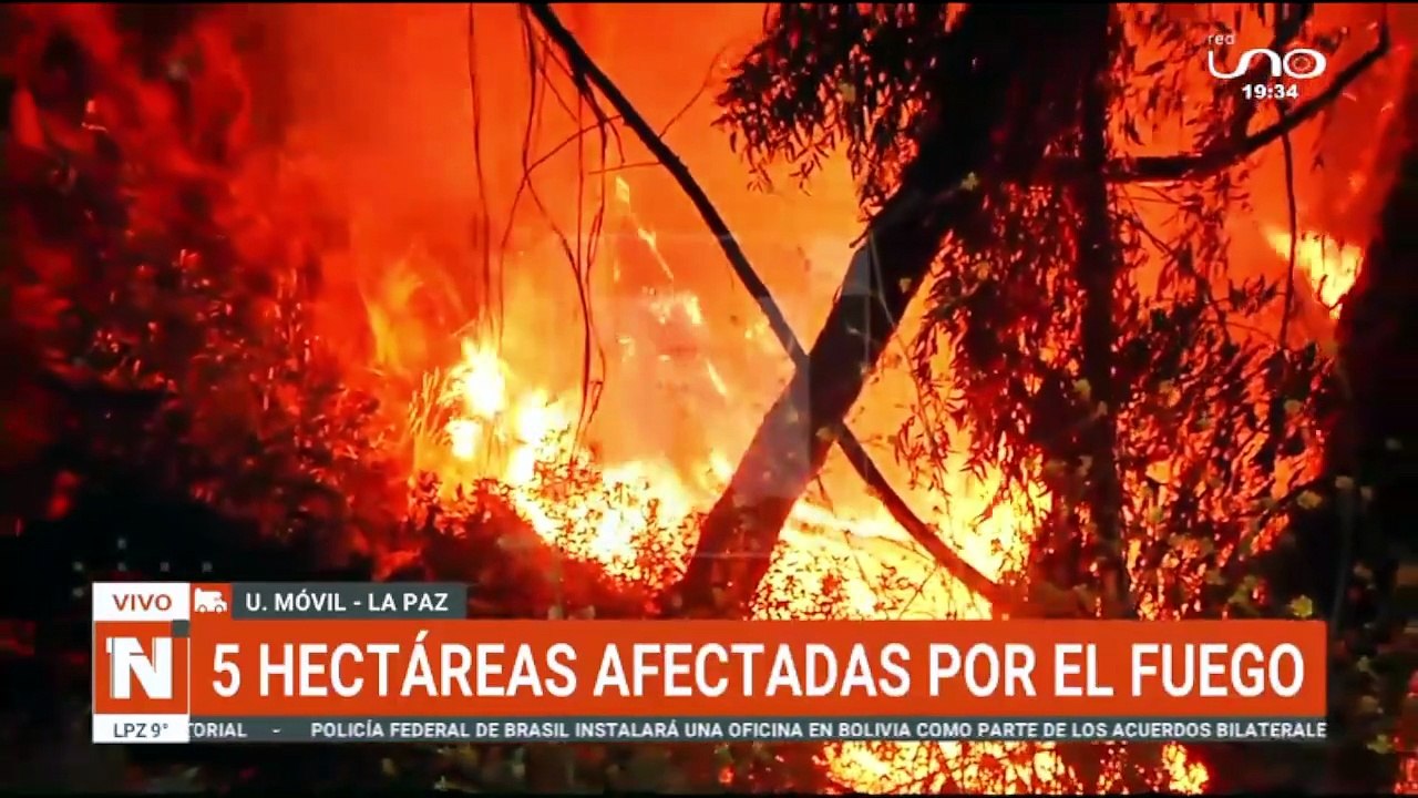 Incendio bosquecillo de Pura Pura