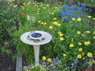 Keeping the bees in britain in bloom_2008