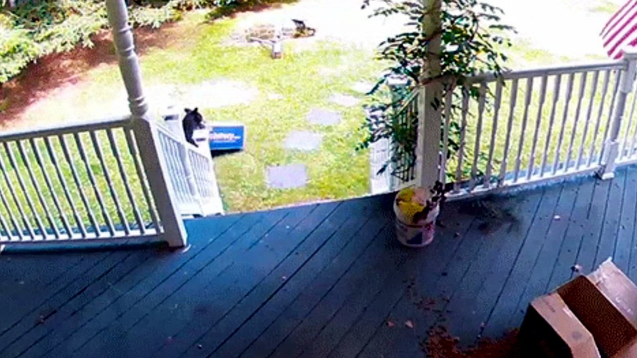 GuardHouse Camera Review - Is This Home Security Camera Worth It?