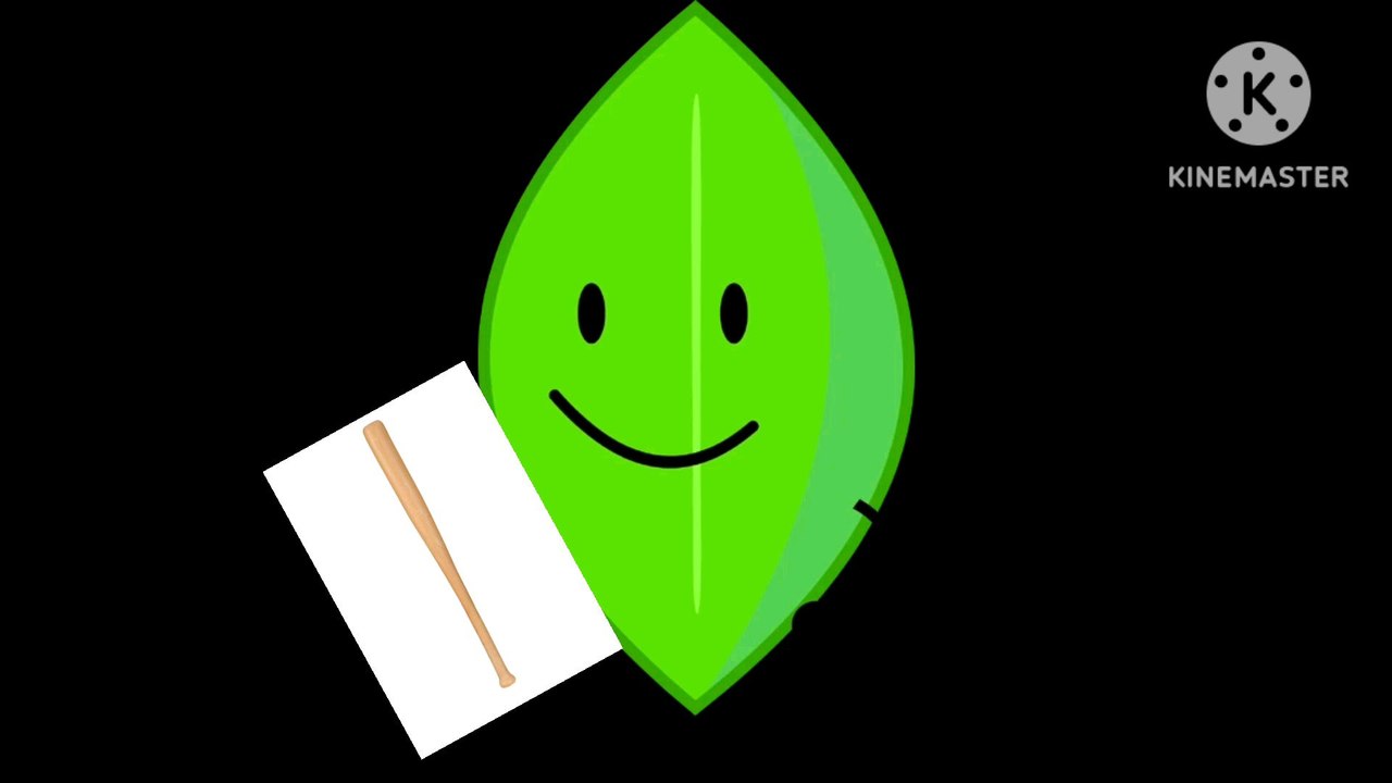 leafyplaybaseballbatandbrokethegbasp