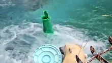 Beautiful Clip Of A Polar Bear Playing And Jumping
