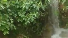 New video 2026