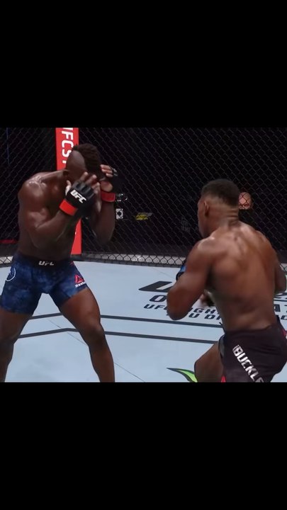 MMA meme