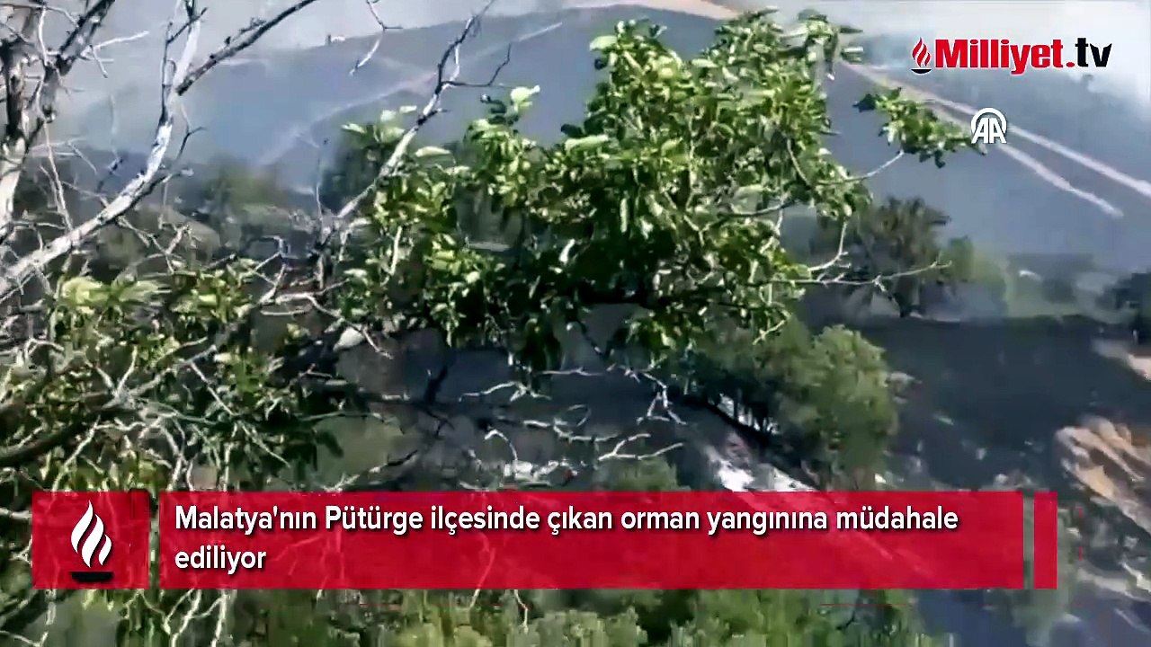 Pütürge'de çıkan orman yangınına müdahale ediliyor