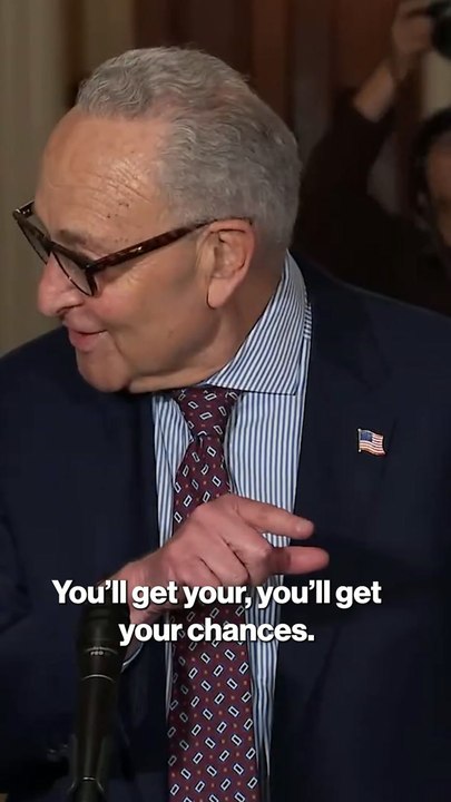 Schumer gets tongue-tied while scolding reporter
