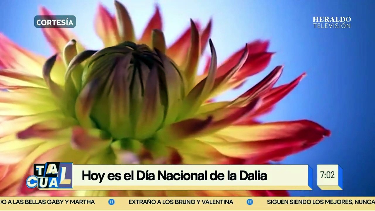 ¡Tormentas dificultan restablecer la luz en Cuba! La isla vive dos apagones en menos de 24 horas