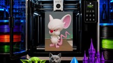 Impressão 3D do Pink e do Cérebro!