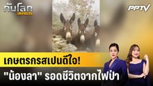 เกษตรกรสเปนดีใจ! "น้องลา" รอดชีวิตจากไฟป่า|ทันโลก EXPRESS | 5 ส.ค. 69