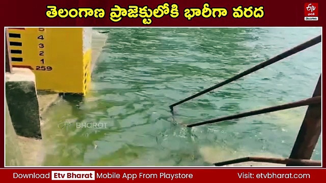 తెలంగాణ ప్రాజెక్టులోకి భారీగా వరద - సాగునీటి విడుదల అవకాశాలపై నేడు ఇంజినీర్ల కమిటీ సమావేశం