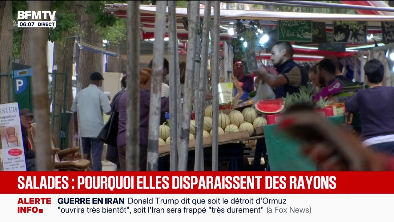 Pourquoi les salades se font-elles de plus en plus rares dans nos rayons?