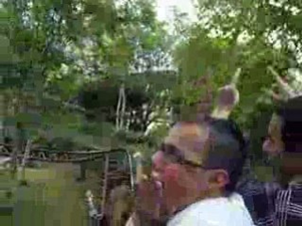 astérix train