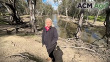 Riverina farmer calls for local knowledge in Murray-Darling Basin decisions