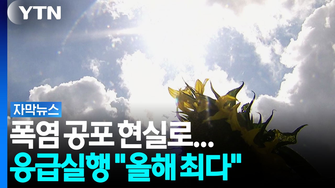사람 잡는 더위...올해 최악의 피해 [자막뉴스] / YTN