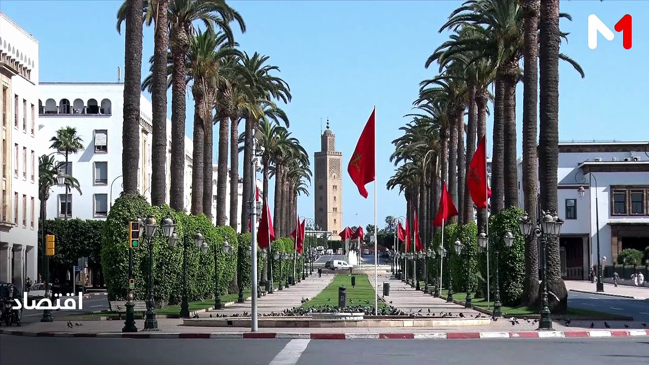 النشرة الاقتصادية - 04/08/2026
