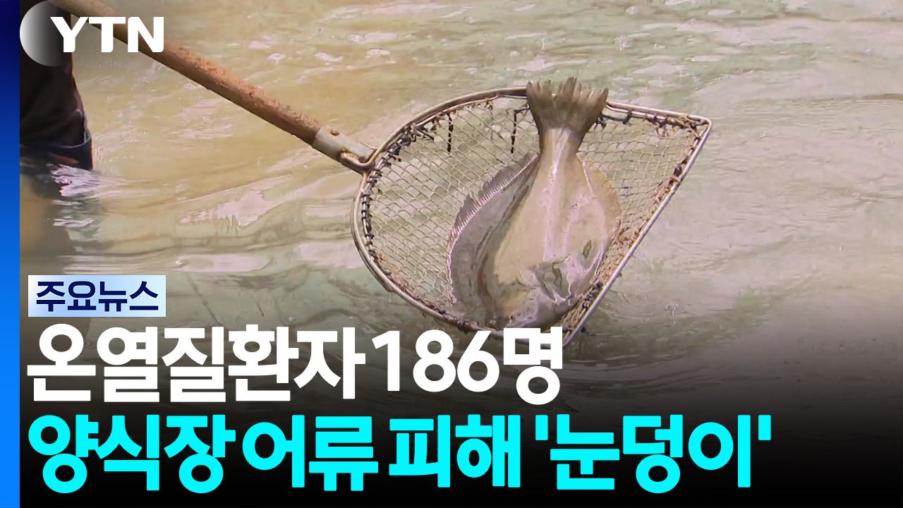 온열질환자 186명...'중대본 2단계' 폭염 대응 / YTN