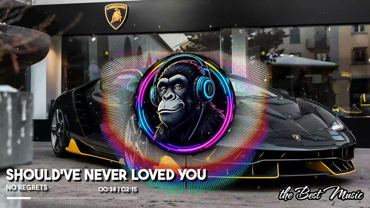 should've never loved you - no regrets