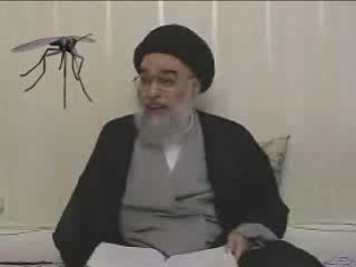 علي عند الرافضه بعوضه