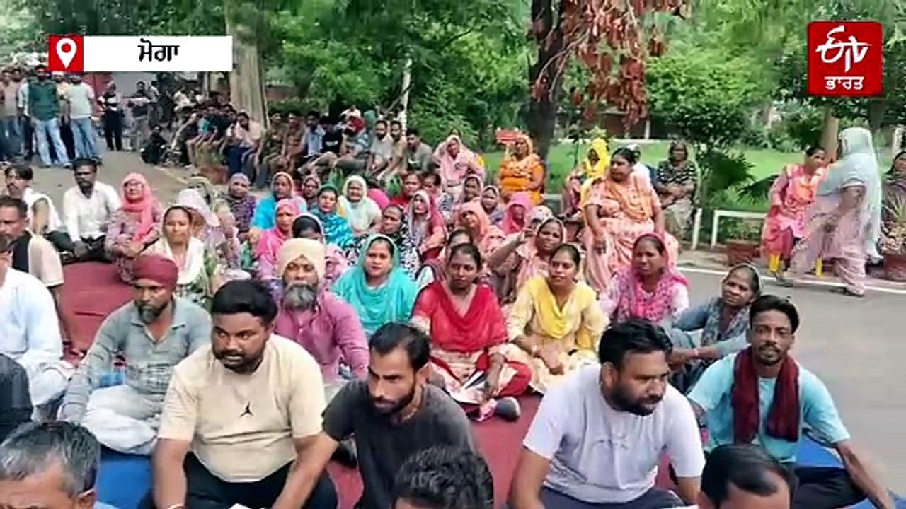 "ਕਲੀਨ ਮੋਗਾ, ਗ੍ਰੀਨ ਮੋਗਾ” ਬਣਾ ਦਿਆਂਗੇ, ਪੱਕੇ ਹੋਣ ਤੋਂ ਬਾਅਦ ਖੁਸ਼ ਹੋਏ ਸਫਾਈ ਸੇਵਕ