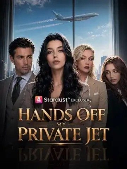 Hands Off My Private Jet  FULL MOVIES ENGLISH SUB
