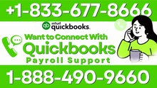 Specialist QuickBooks Payroll Support for Seamless Payroll Management