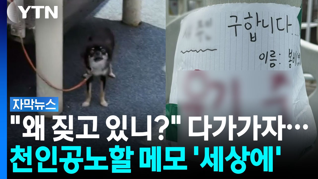폭염경보 내려진 대낮, 작은 강아지는 그저 짖고 있었다 [자막뉴스] / YTN