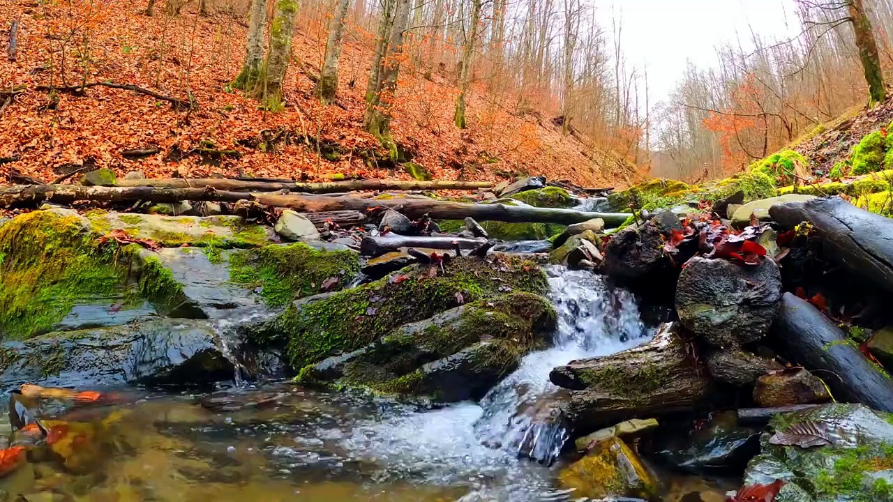 Relaxant Bruit de L'eau 💧 qui Coule pour Dormir — Relaxation