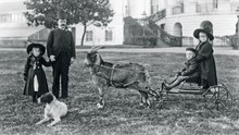 Meet the 10 quirkiest presidential pets in history