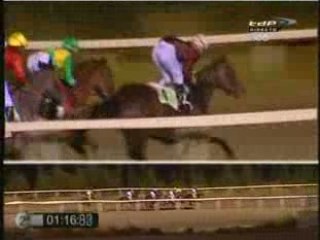 2008 (206) Premio M.M.A.M.R.M. (Cat. C) (REVELATION)