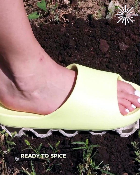 Become a plant pro with these easy tips and tricks! 🌱