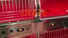 Fast Heating Halogen Infrared Lamp Tube 400mm 220v 500w for Poultry heating