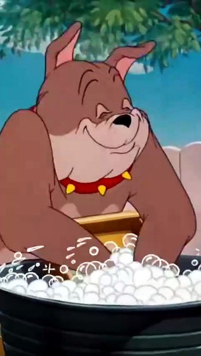 Spike's Funny Bath Time | Tom & Jerry Classic Cartoon #15