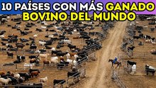 Los 10 países con más vacas en el mundo