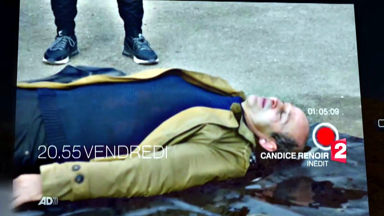 Candice Renoir