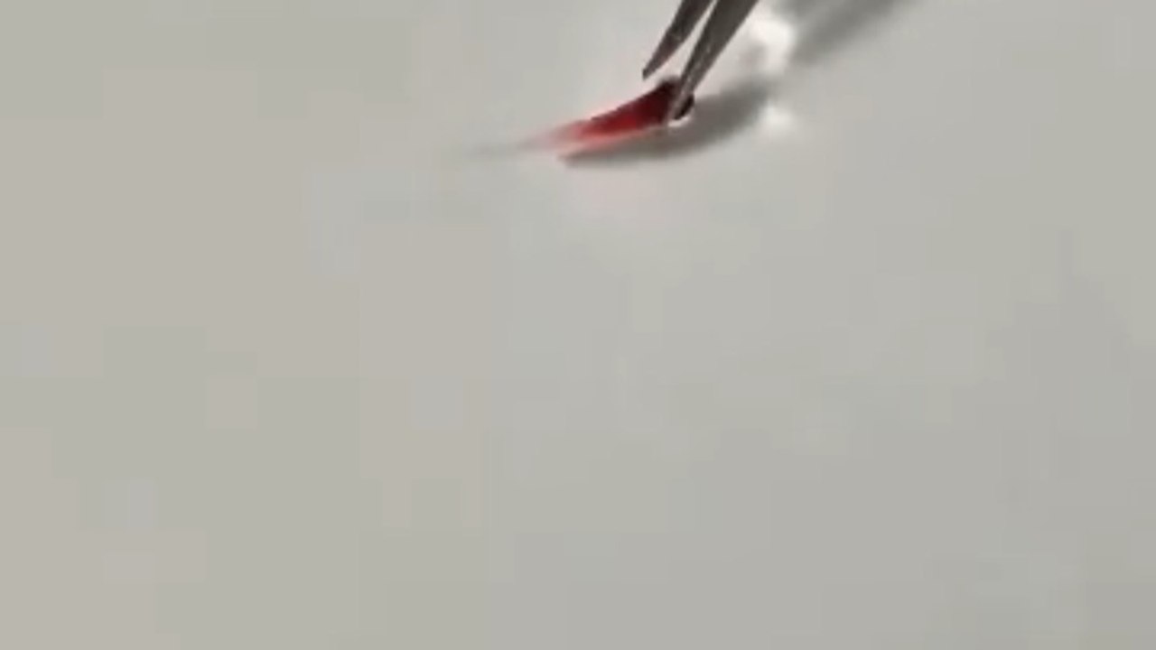 Extracting Pure Fruit Essence to Create a Plated Masterpiece 🍓🌸