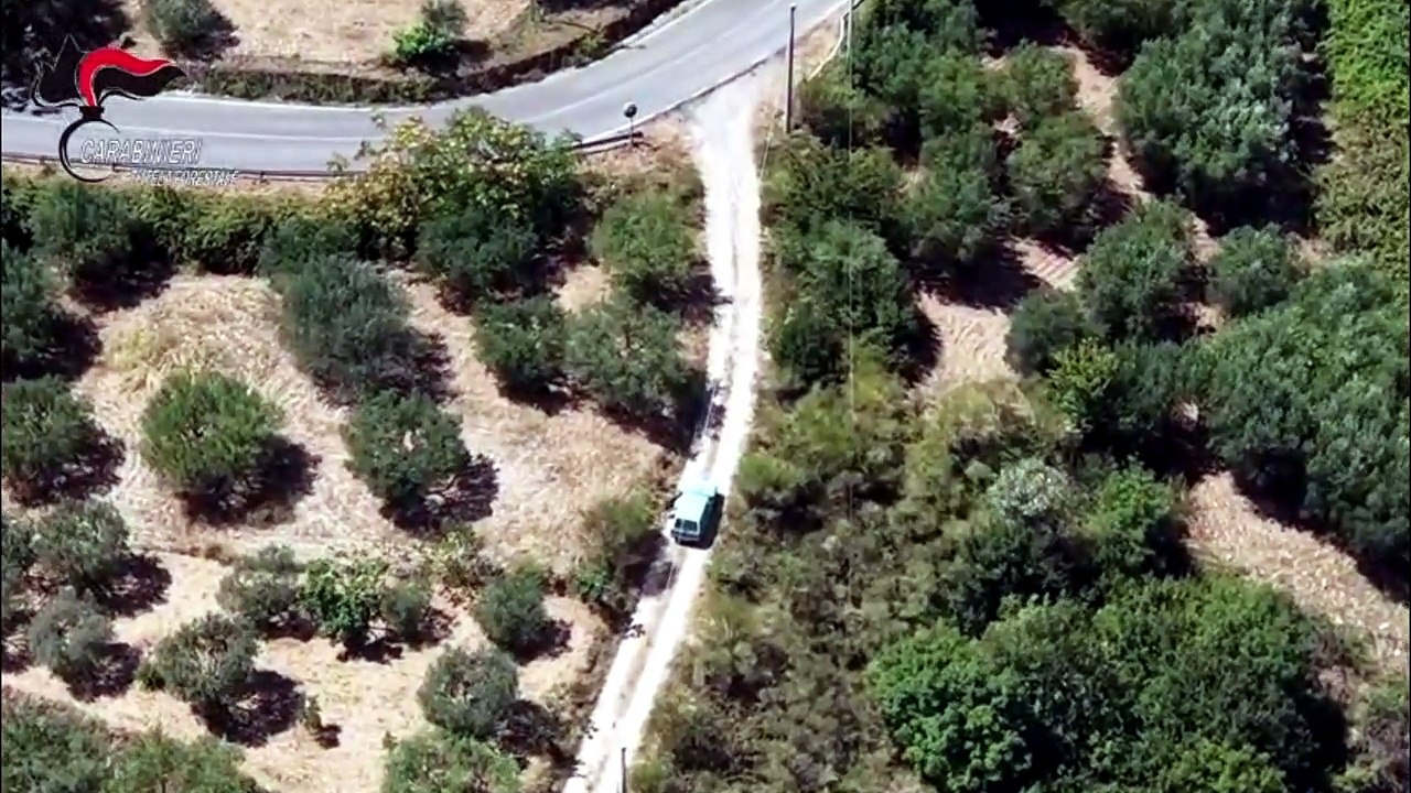 Piromane in azione in un campo a Morano Calabro, le immagini dall'alto